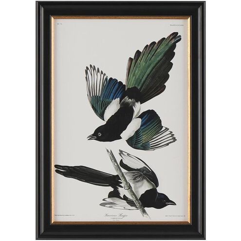Audubon Collection Group 20.75 X 14.75 inch Giclee, I-B