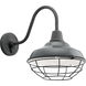 Pier 1 Light 12.50 inch Outdoor Wall Light