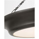 Christiane Lemieux Lenoir 24 inch Aged Iron Chandelier Ceiling Light