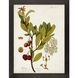 Florals Collection Green Framed Art