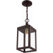 Nyack 1 Light 6.25 inch Bronze with Antique Brass Cluser Outdoor Pendant Lantern
