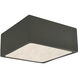 Radiance Collection LED 8.25 inch Reflecting Pool Flush-Mount Ceiling Light