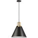 Sonus 1 Light 14 inch Matte Black with Aged Brass Pendant Ceiling Light in Matte Black and Aged Brass