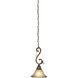 Florence 1 Light 9 inch Multi Tone Bronze Pendant Ceiling Light