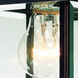 Charleston 1 Light 11 inch Antique Bronze Exterior Wall Lantern in Beveled