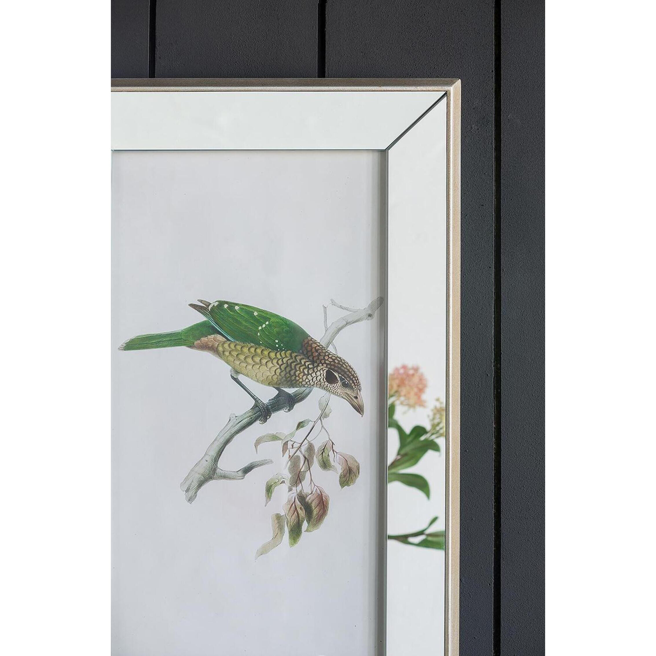 Bird Mirror Frame Print Multi Color Wall Art, Set of 2