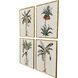 Contemporary Palm Green and Brown and Multi and Beige Framed Art