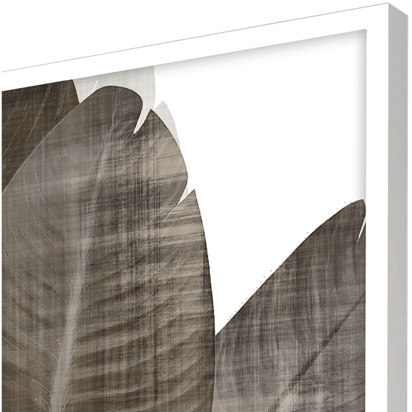 Earthy Palm Brown and White Framed Art