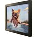 Summer Splash 11 X 11 inch Non-Glass Framed Art