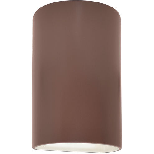 Ambiance 1 Light 9.5 inch Canyon Clay Outdoor Wall Sconce in Incandescent
