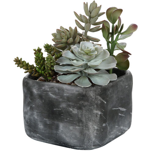 Alverio Charcoal Gray Concrete Succulents