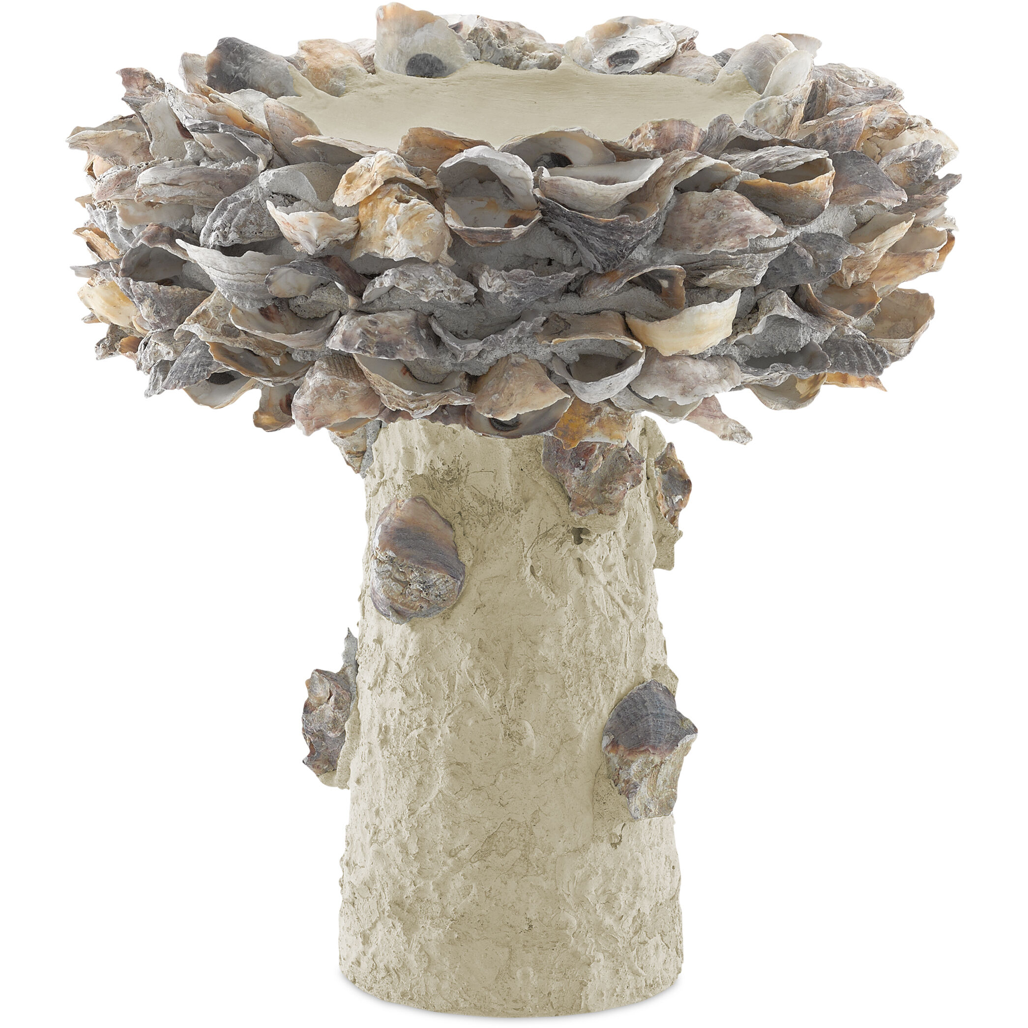 Oyster Shell Natural Bird Bath, Small