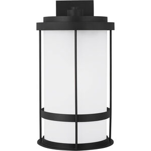 Wilburn 1 Light 24 inch Black Outdoor Wall Lantern, Extra Large