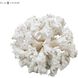 Whitefield 18 X 18 inch Sculpture