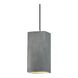 Radiance Collection LED 5.5 inch Brushed Nickel and Antique Silver and Black Pendant Ceiling Light