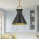 Alora Mood Emerson Pendant Ceiling Light in Aged Gold and Matte Black