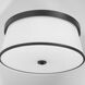 Weir 4 Light 20 inch Matte Black Flush Mount Ceiling Light