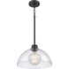 Julian 1 Light 14 inch Matte Black Pendant Ceiling Light