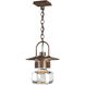 Mason 1 Light 11.3 inch Coastal Bronze Outdoor Ceiling Fixture, Large