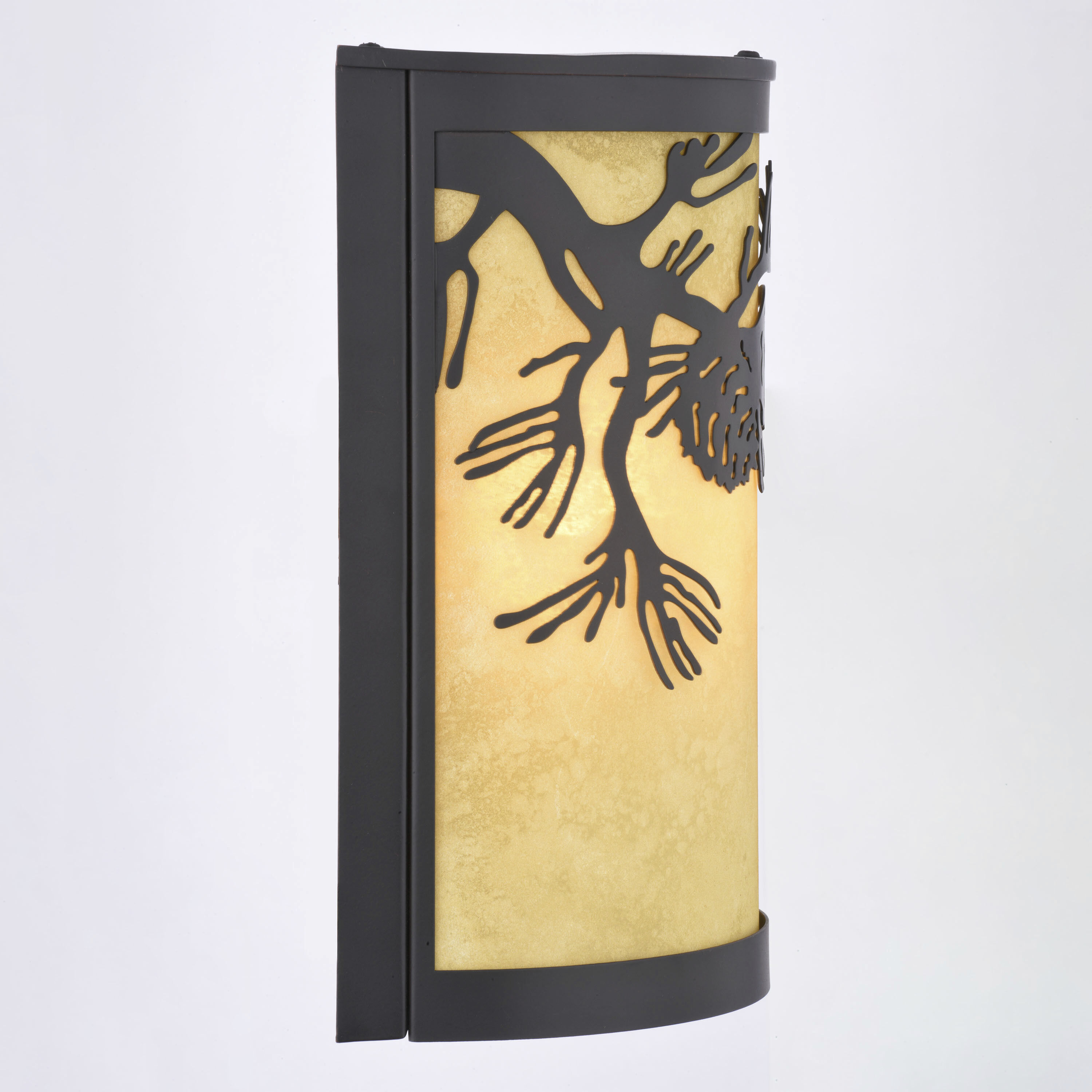 Douglas 1 Light 11 inch Warm Bronze Indoor-Outdoor Wall Light