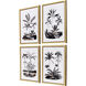 Exotic Terrain Black and Metallic Framed Art