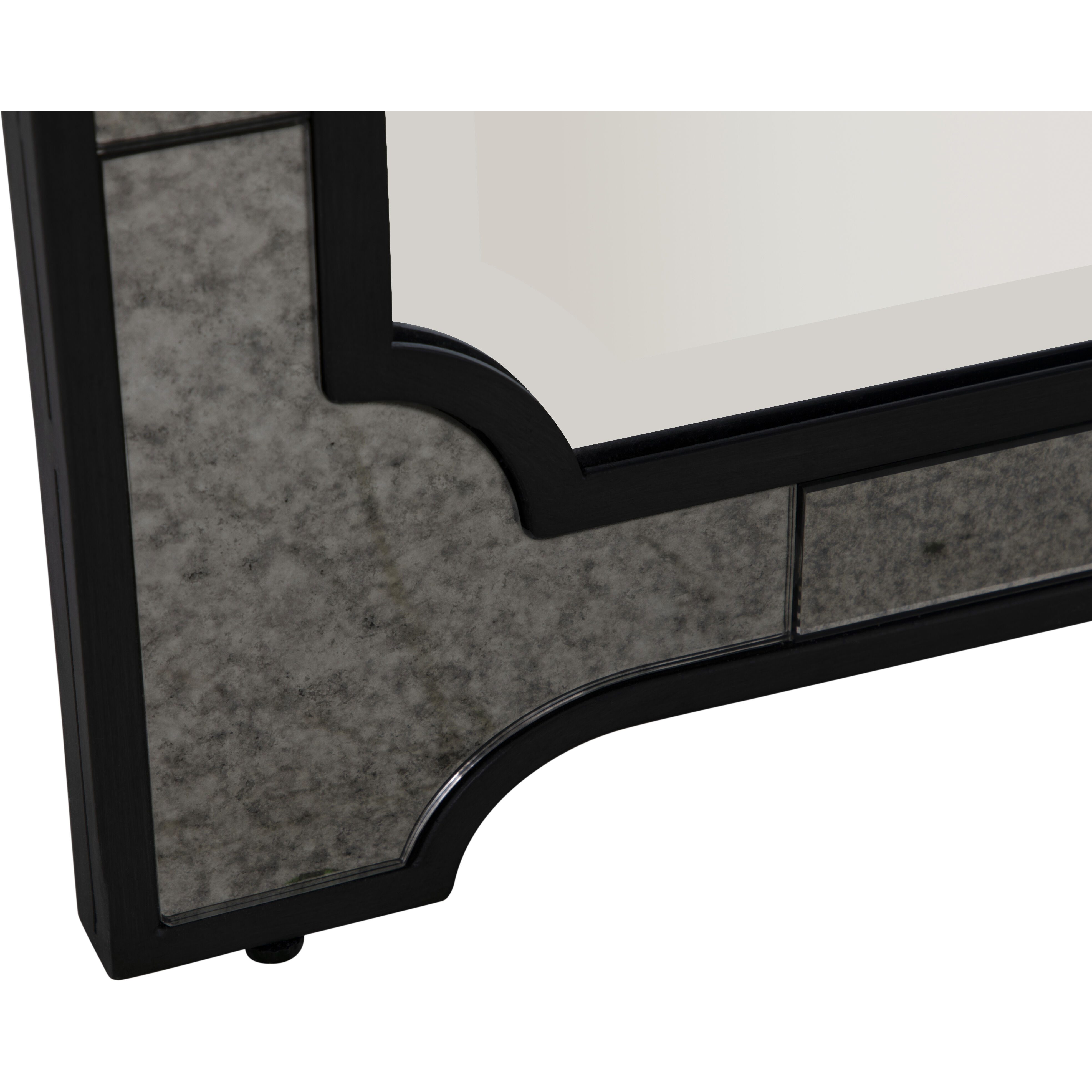 Chantel 77.75 X 37 inch Clean Mirror and Antique Mirror with Black Forged Iron Mirror