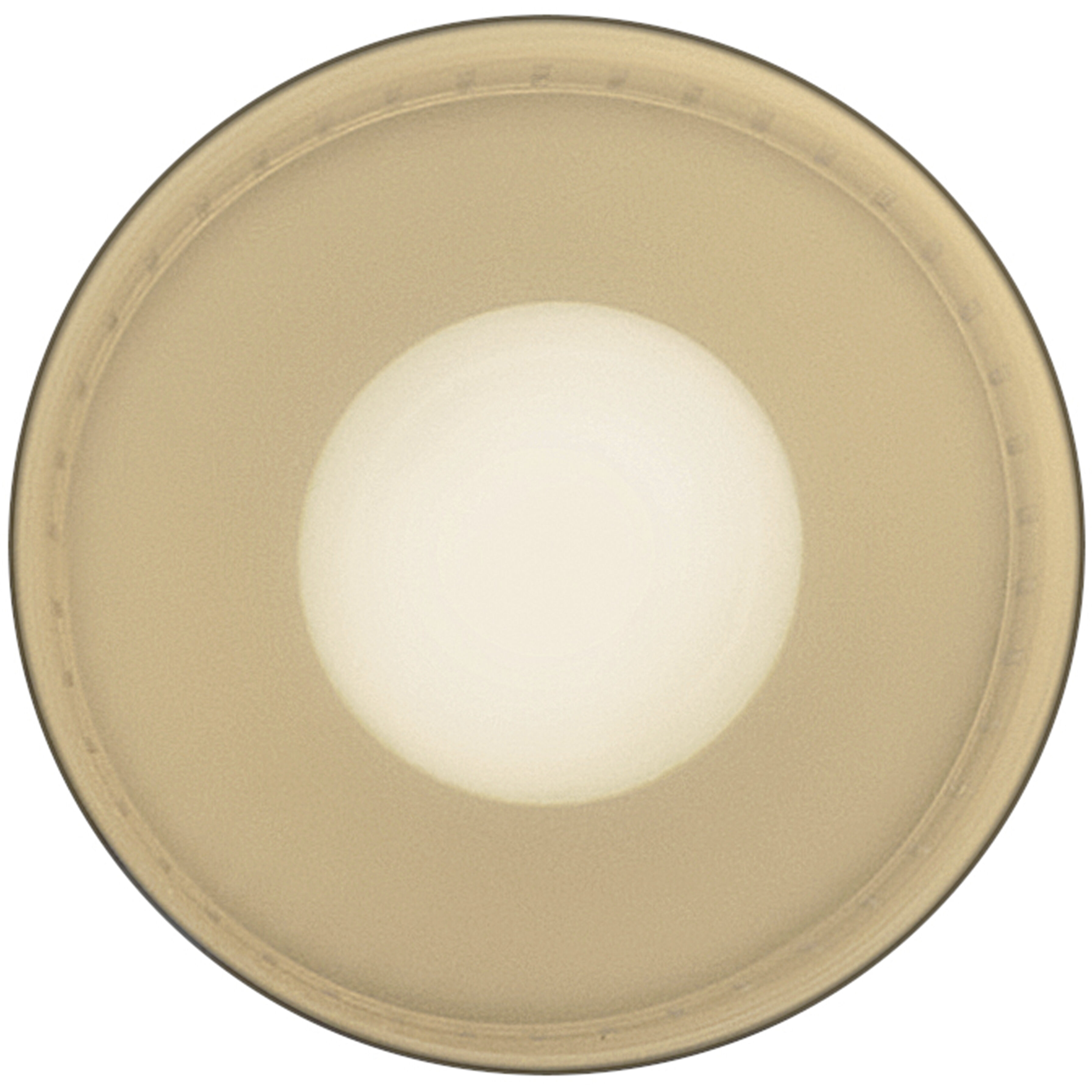 Casey 1 Light 7.5 inch Black Flush Mount Ceiling Light