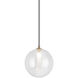 Magma LED 9 inch Clear Pendant Ceiling Light