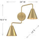 Modern 60.00 watt Natural Brass Adjustable Wall Sconce Wall Light