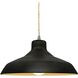 Radiance LED 13.5 inch Carbon Matte Black and Champagne Gold and Brushed Nickel Pendant Ceiling Light
