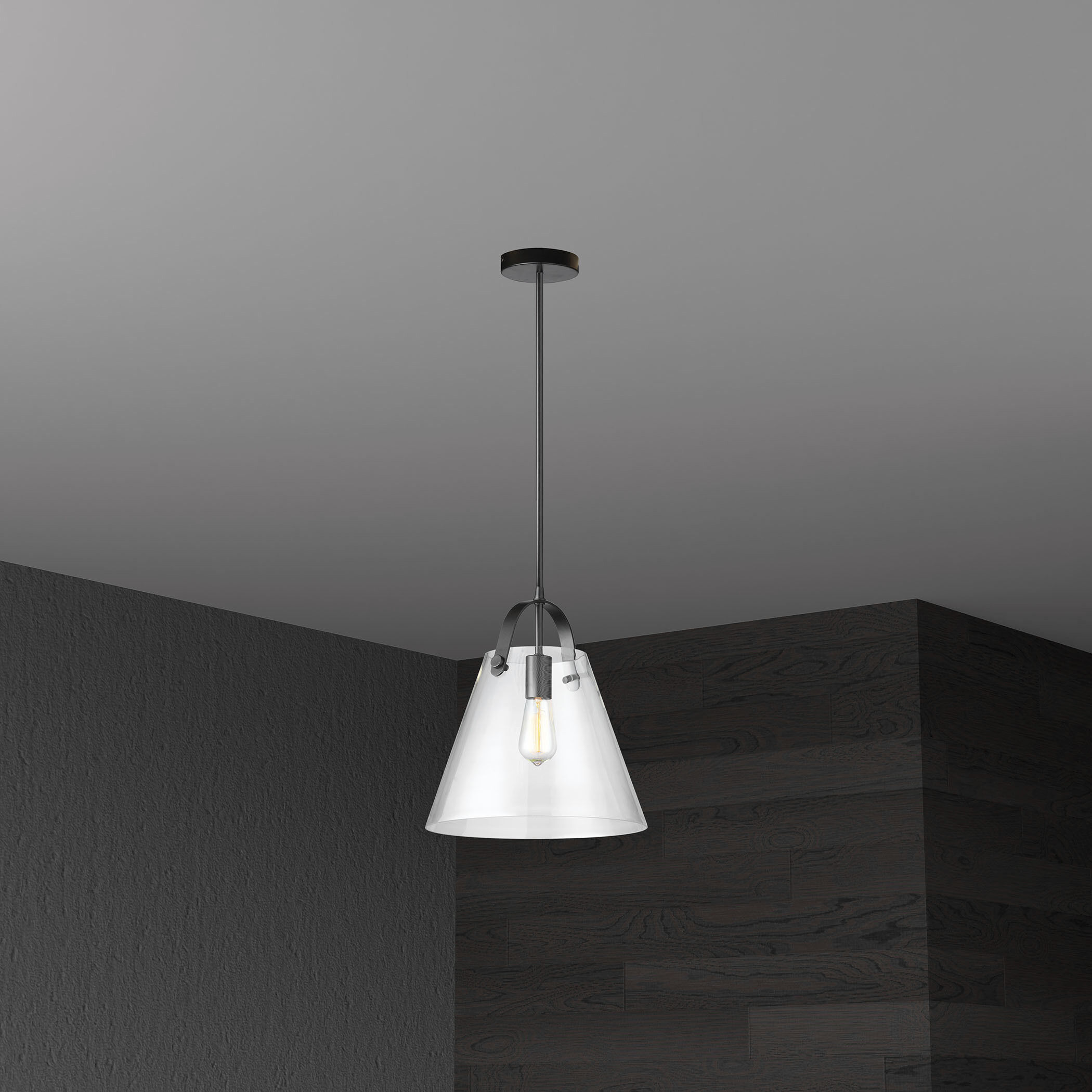 Polly 1 Light 12.75 inch Black Pendant Ceiling Light
