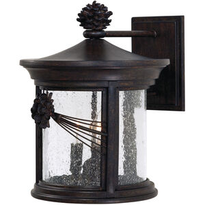 Abbey Lane 3 Light 14 inch Iron Oxide Outdoor Wall Mount in Incandescent, Great Outdoors