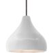 Radiance LED 11.5 inch Bisque and Brushed Nickel Pendant Ceiling Light