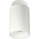 iLENE Flush Mount