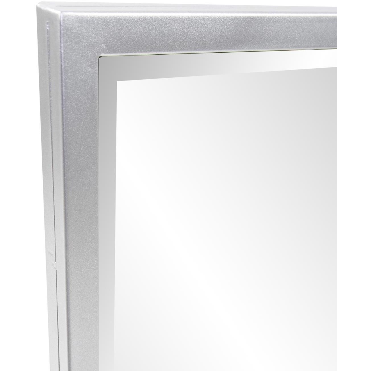 Ezra 47.5 X 30 inch Silver Mirror