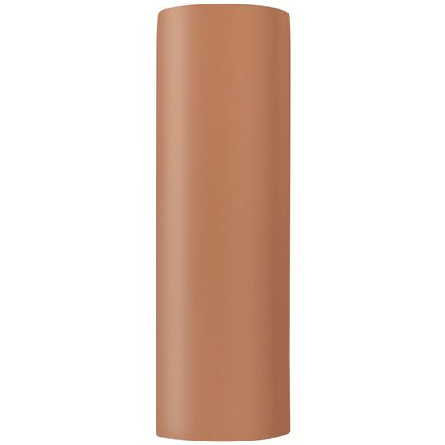 Ambiance Outdoor Wall Sconce