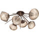 Hammerton Studio CLB0089-02-BB-A-L3