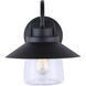 Madison 1 Light 11 inch Black Outdoor Downlight