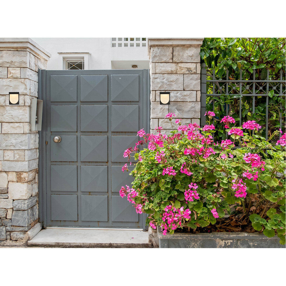 Raine Outdoor Wall Light in Black