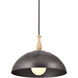Homestead Fira 1 Light 18 inch Anvil Iron Pendant Ceiling Light, Fira