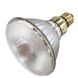Lumos HID PAR38 Medium E26 70 watt 4000K Light Bulb