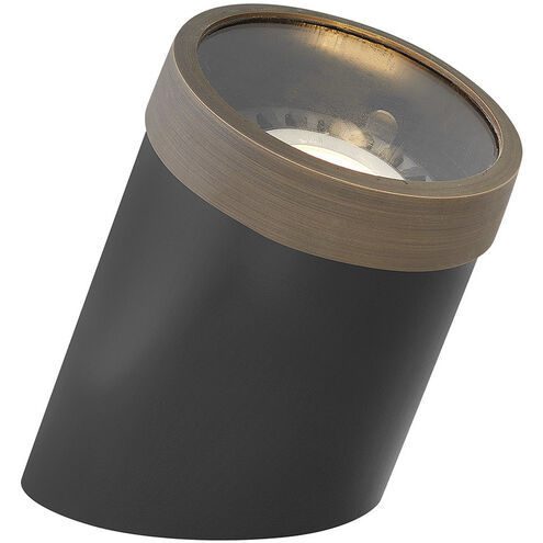 Hardy Island 12v 13.00 watt Matte Bronze Landscape Well Light in Clear, Flat Top