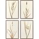 Varying Grasses Brown and Beige and Neutral Framed Art