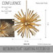 Confluence 12 Light 20 inch Piastra Gold Pendant Ceiling Light