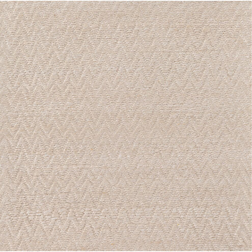 Drift Wood 36 X 24 inch Beige Rug