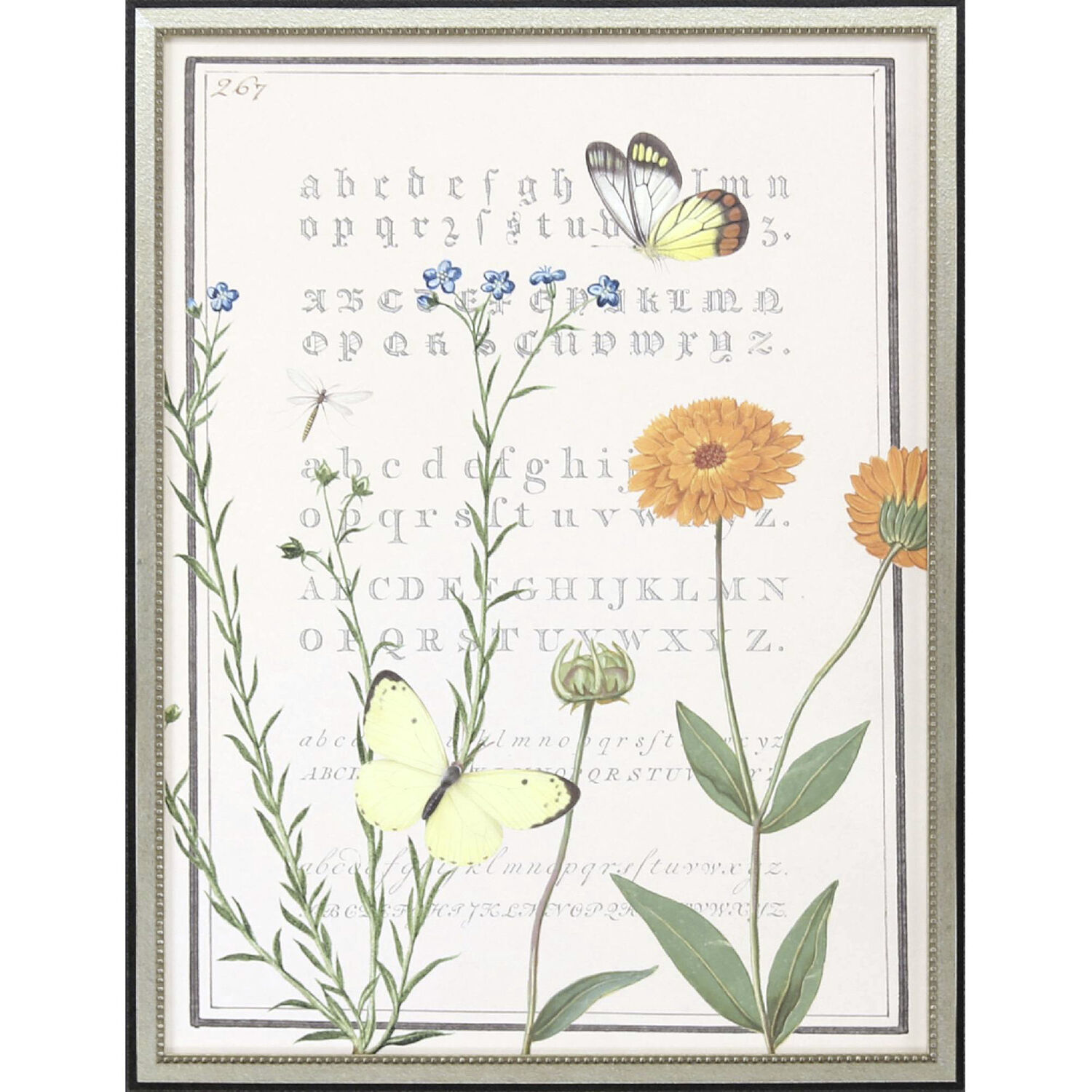 Ephemeral Green and Blue and Multi and Orange Framed Art