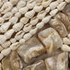 Big Wave Natural Shell Wall Art