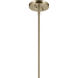 Laria 1 Light Champagne Bronze Pendant Ceiling Light in Clear