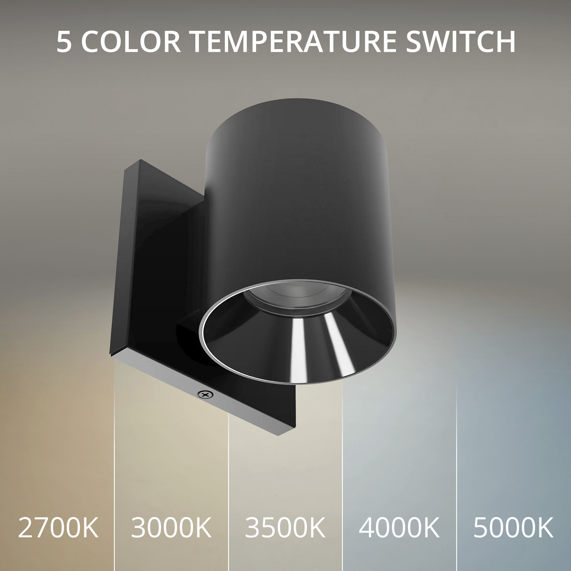 Zoron LED 4.25 inch Black Outdoor Wall Lighting