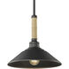 Journey Pendant Ceiling Light in Natural Black